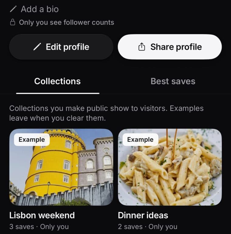 Part of your page on the Profile tab: Add a bio, Edit profile and Share profile buttons, and the Collections and Best saves tabs with two example collections